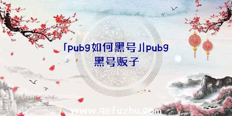 「pubg如何黑号」|pubg黑号贩子